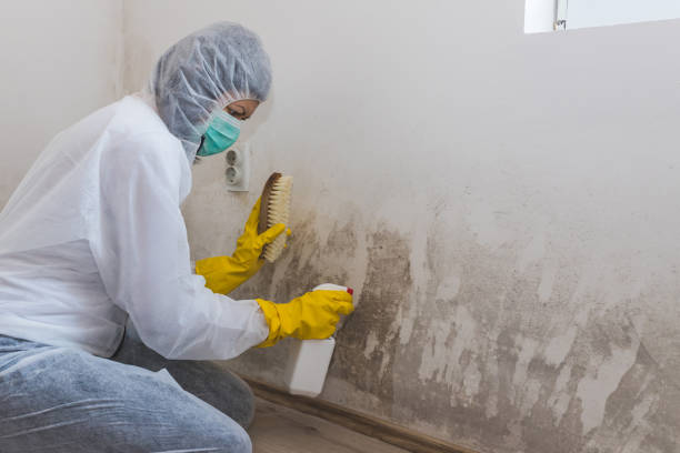 Best Mold Cleaning Services  in Oxford, KS