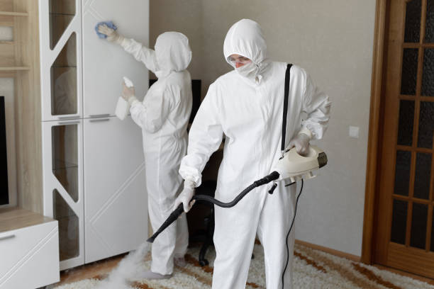Office Mold Removal Services in Oxford, KS