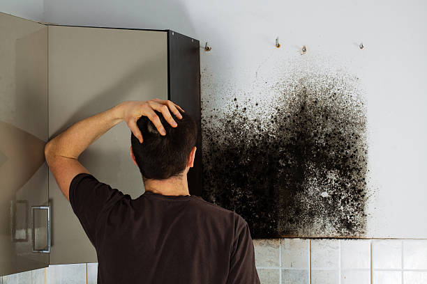 Best Mold Testing  in Oxford, KS