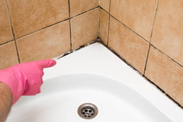 Best Professional Mold Removal  in Oxford, KS